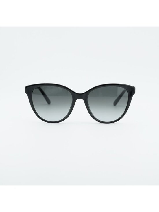Salvatore Ferragamo SF1073S 001 Sunglasses Black Cat Eye Frame, Grey Lenses main image 8